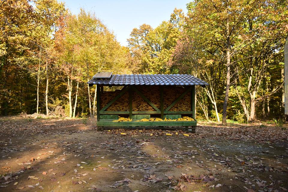 Jasikovac 2015