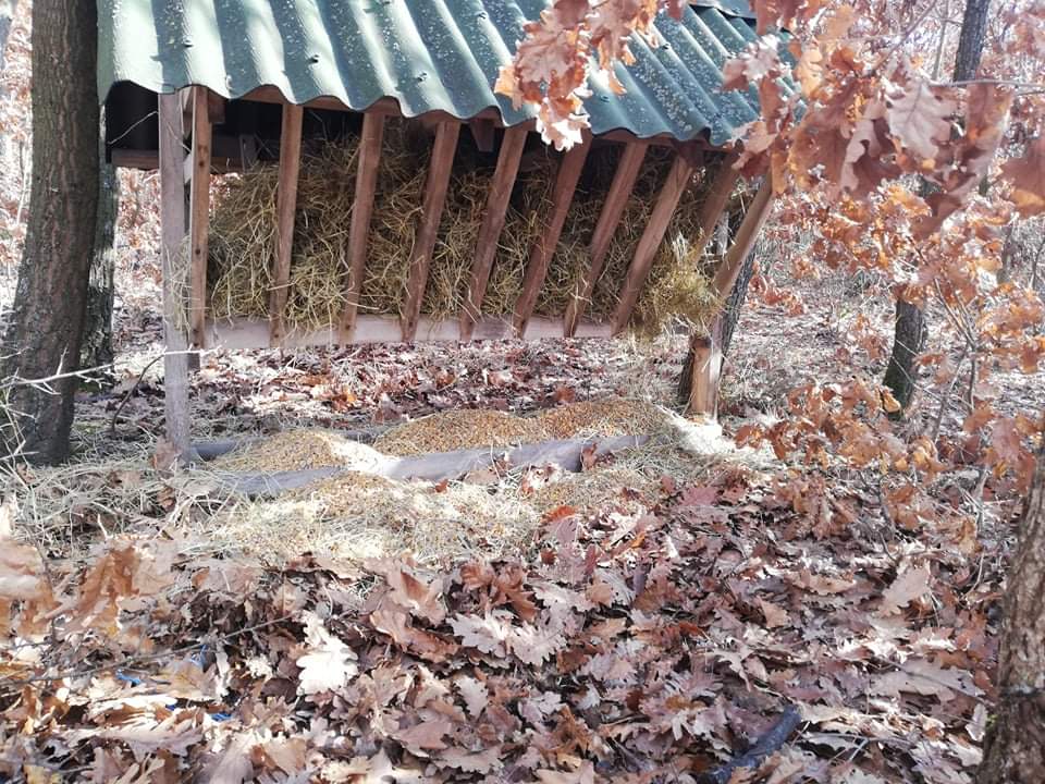 Hranilica za srneću divljač puna hrane