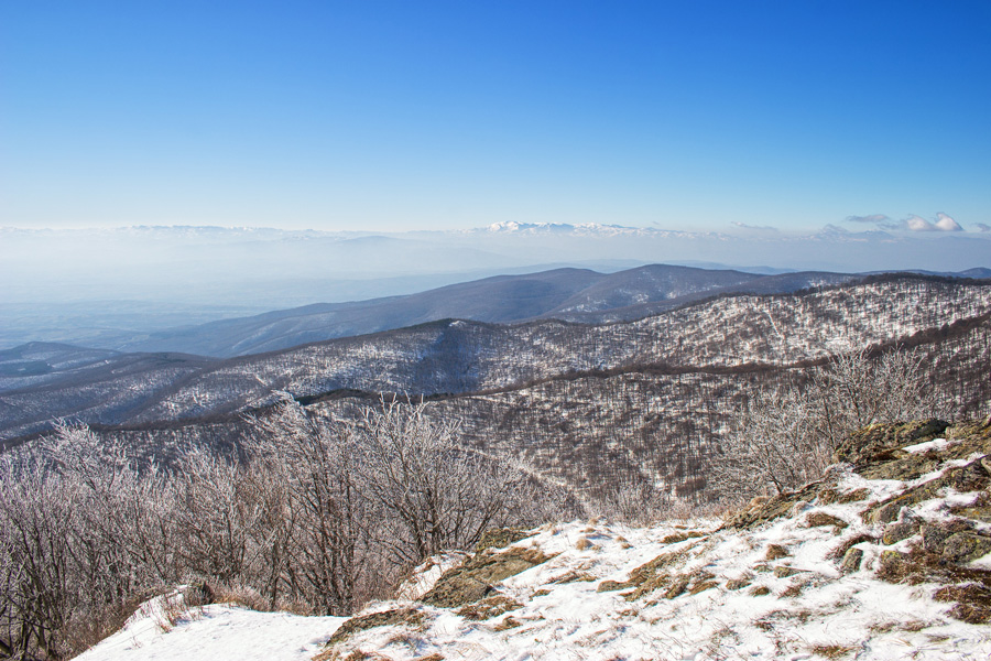 Zimski pejzaž lovišta "Rasina"   