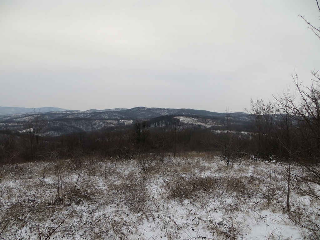 Lovište "Rasina"
