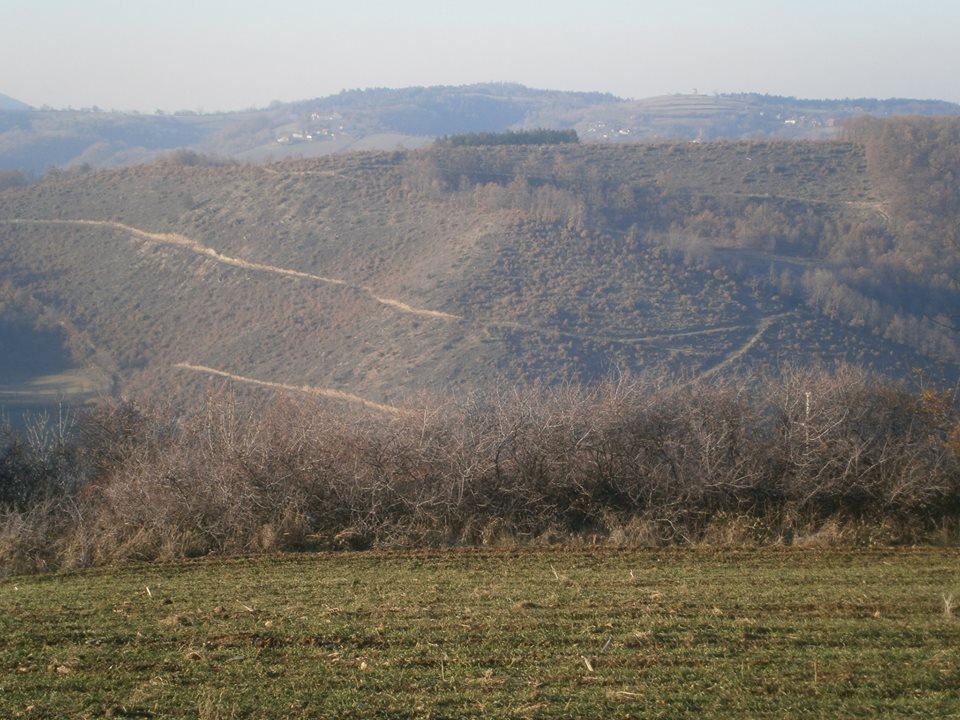 Lovište - Revir 4