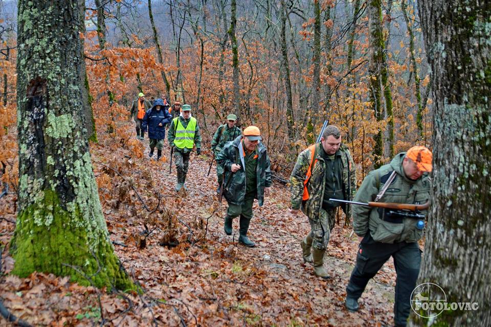 Jastrebački vuk 2015 - Foto: Predrag Mastilović