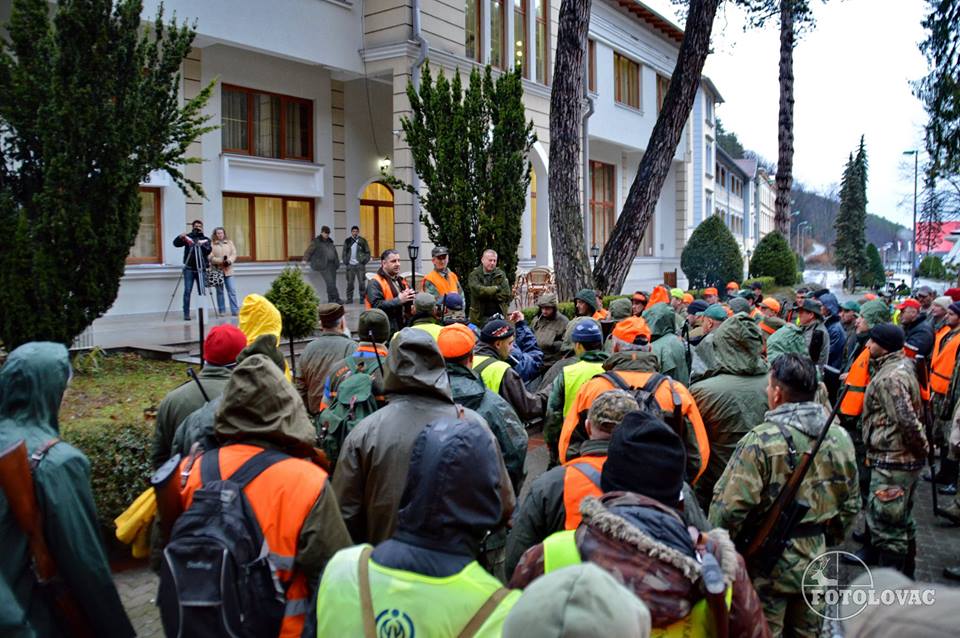 Jastrebački vuk 2015 - Foto: Predrag Mastilović