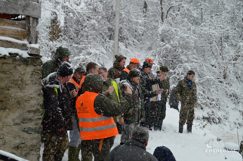 Jastrebački vuk 2015 - Foto: Predrag Mastilović