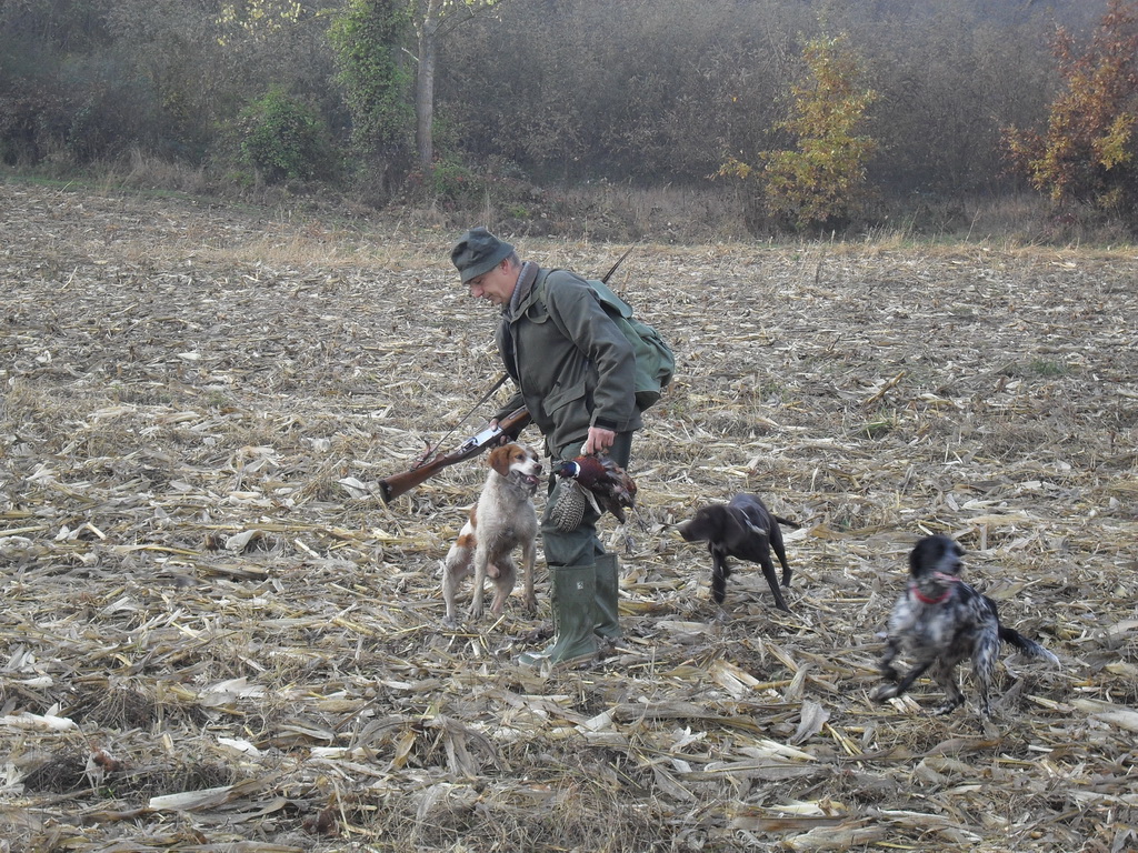 Lov na fazane u sekciji Globoder
