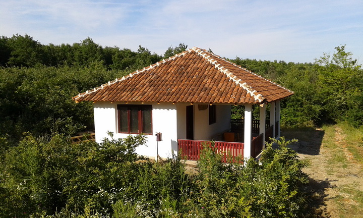 Lovačka kuća "Rasinski" - 2015.godina