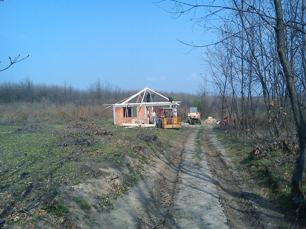 Sekcija Jasika
