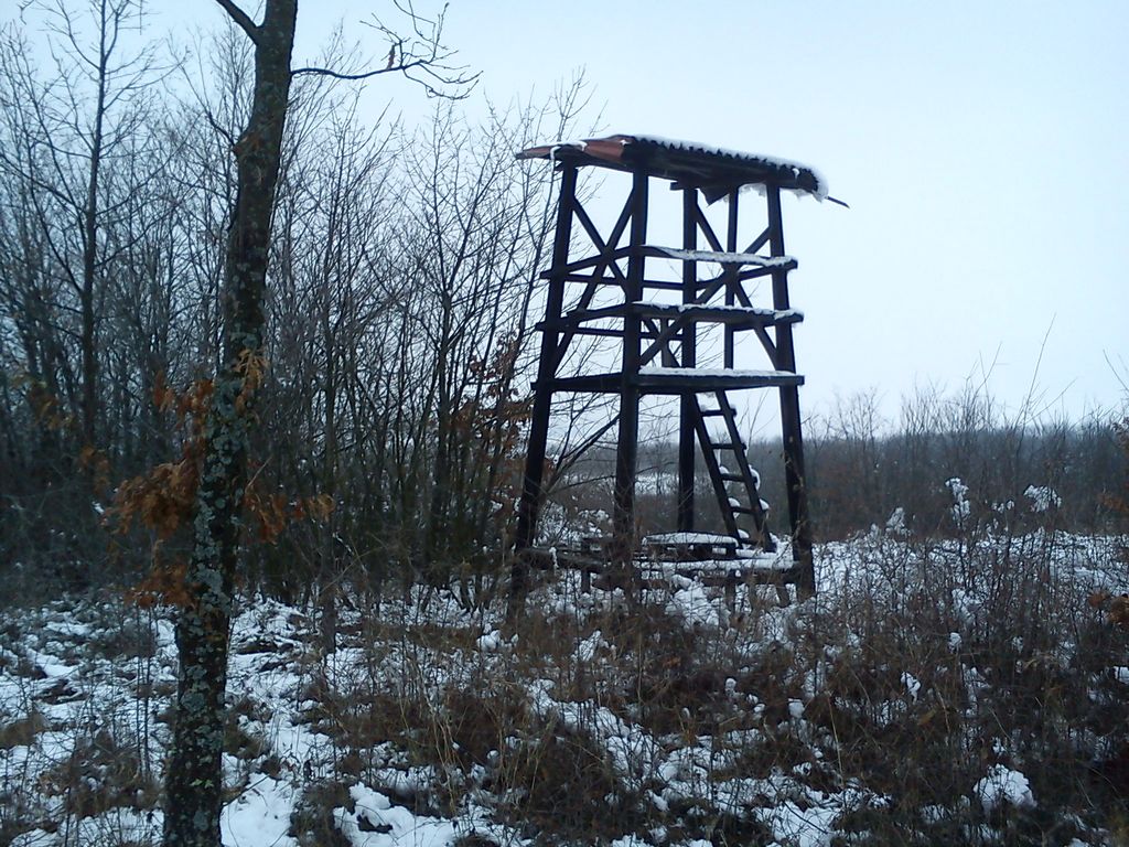 Sekcija Jasika