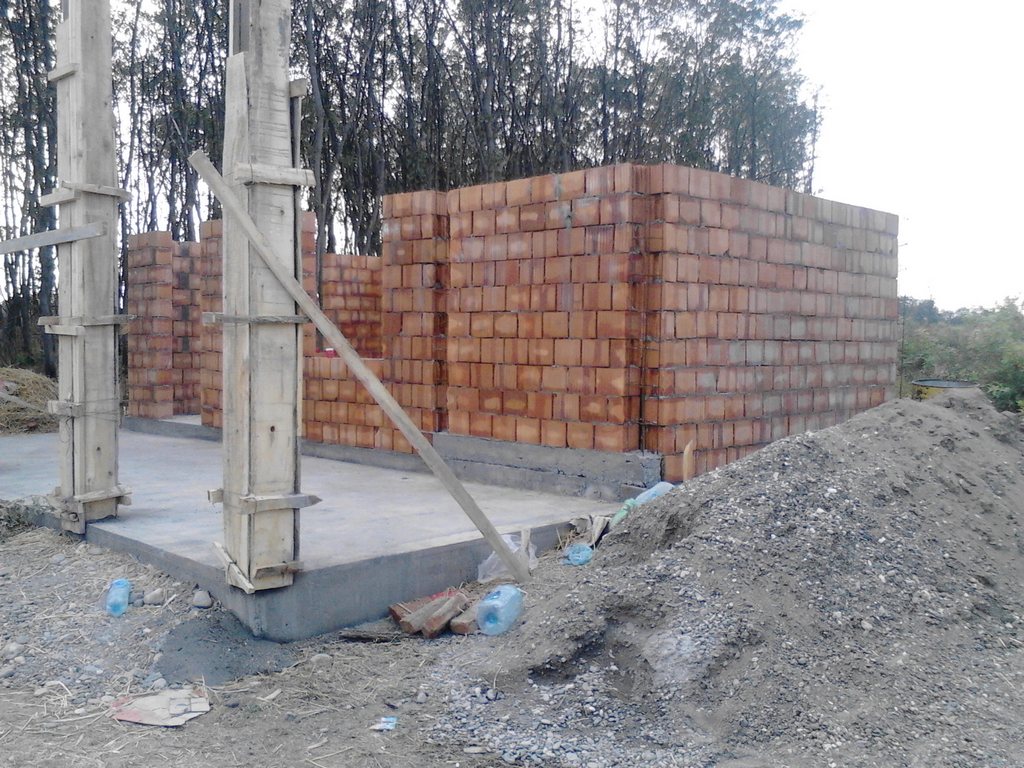 Sekcija Jasika