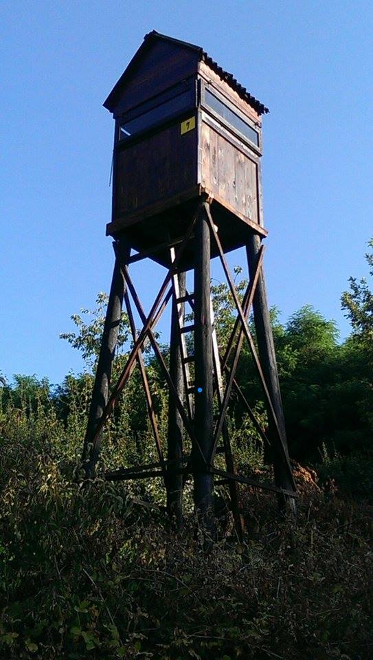 Sekcija 26, Dragan Todosijević