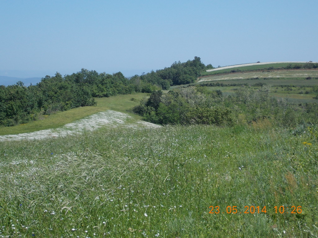 Sekcija Ribare